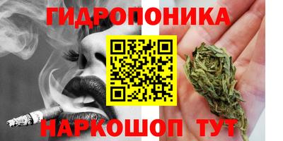 дживик Моздок