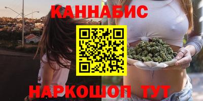 дживик Моздок