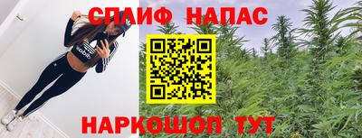 дживик Моздок