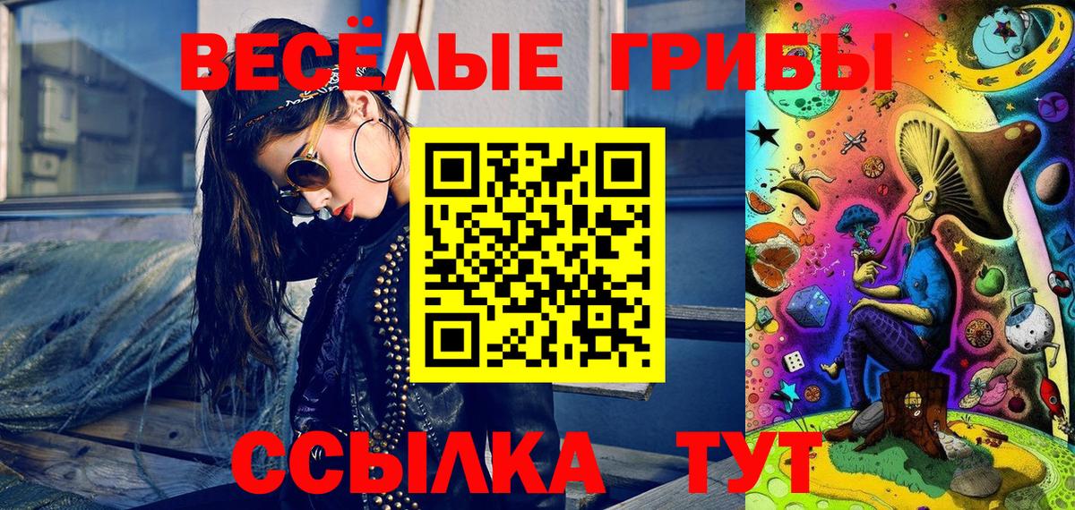 Галлюциногенные грибы мицелий  Галлюциногенные грибы прущие грибы  Шарыпово  Вход с VPN 